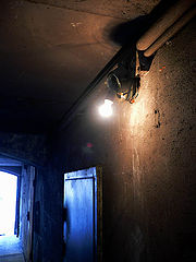 photo "Lonley light"