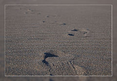 photo "Traces on sand..."
