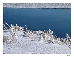 photo "***"