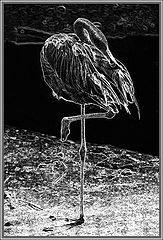 photo "Balance."