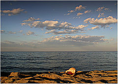 фото "Memento of the summer"