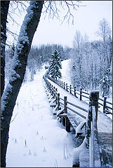 фото "Малые Корелы."
