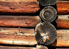 photo "aged logs"