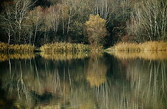 photo "Autumn paints of winter"