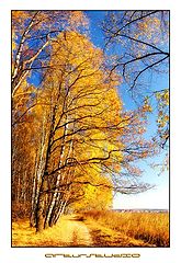 photo "***"