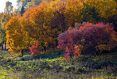 photo "***"