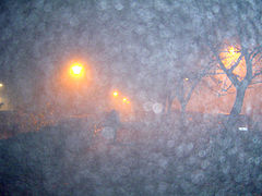 photo "Look out: Fogg!"
