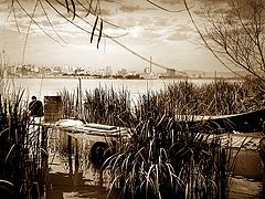 photo "contrasts"