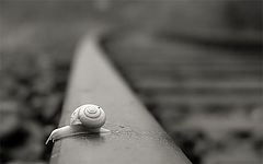 фото "Hurry up"