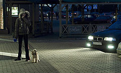 photo "Walk in the evening"