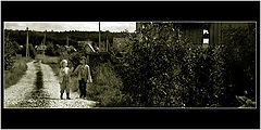 фото "__II___"