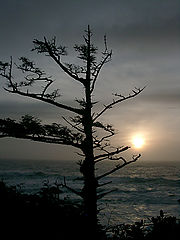 photo "Pacific sunset"