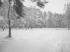 photo "***"