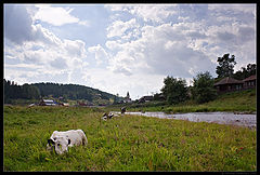 photo "Village landscape / 0163_0082"