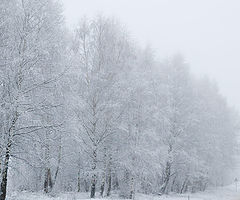 фото "Зимняя сказка (1)."