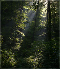 photo "***"