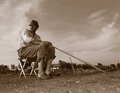 фото "Ожидая дождь - Expecting a rain"