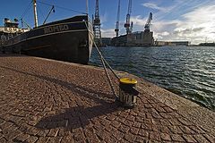 фото "14"