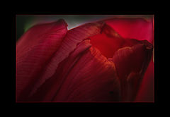 photo "***"