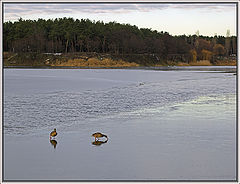 photo "On the thin ice"