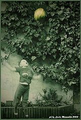 photo "baby volley"