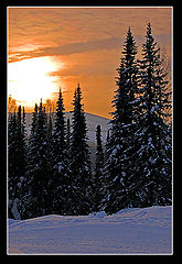 photo "Winter sundown2"