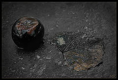 фото "***"