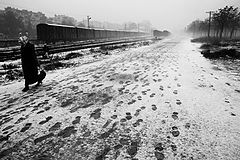 фото "following"