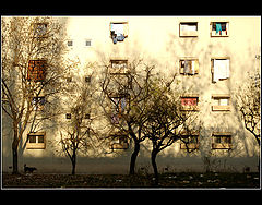 фото "***"