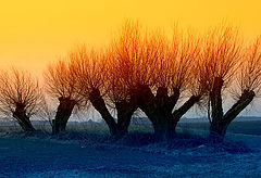 photo "W 3"