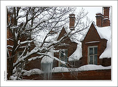 photo "Winter (1)"