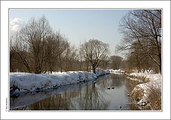 photo "Winter (2)"