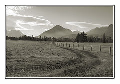 photo "the way"