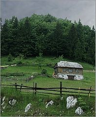 photo "***"