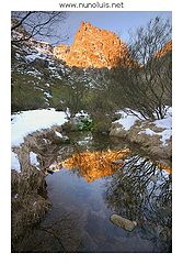 фото "***"