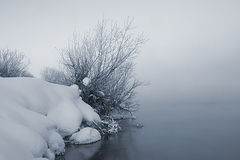 фото "Зимний берег"