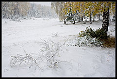 photo "Ural / 0164_0176"