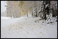 photo "Ural / 0164_0182"