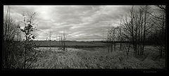 фото "My sade landscape 2"