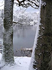 фото "Winterlake"