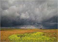 фото "Перед грозой"