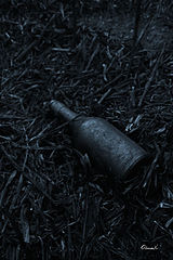 photo "***"