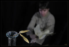 фото "Expired the love"