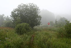 photo "Stop !"
