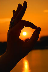 photo "ok"