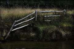 photo "The broken fence"