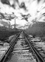 photo "***"