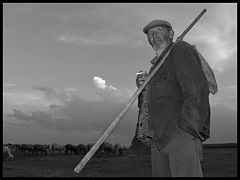 фото "Shepherd(4) - Пастух(4)"