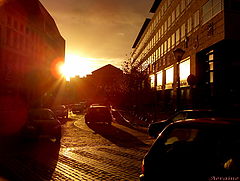 photo "Last sun."