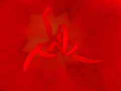 photo "***"